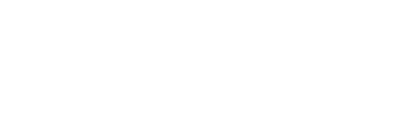 bioracer-speedwear logo
